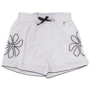 Rok Manila Grace 343PMBS25