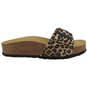 Slippers Plakton Chaussures