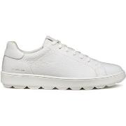 Sneakers Geox Baskets Spherica Ecub-1 C