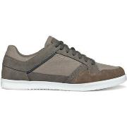 Sneakers Geox Baskets Walee B