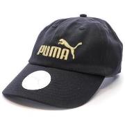 Pet Puma -