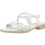 Sandalen NeroGiardini E513403D