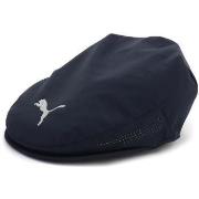 Pet Puma -