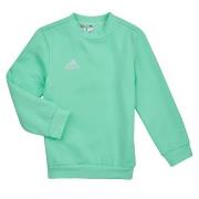 Sweater adidas ENT22 SW TOPY