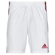 Korte Broek adidas SQUAD 21 SHO