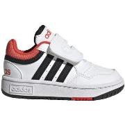 Sneakers adidas Hoops