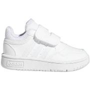 Sneakers adidas Hoops 3.0