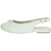 Ballerina's Ferre FB-002