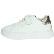 Lage Sneakers Sun68 Z35426K