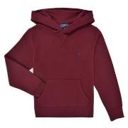 Sweater Polo Ralph Lauren LS PO HOOD-TOPS-KNIT