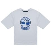 T-shirt Korte Mouw Timberland T60422