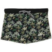 Zwembroek Sun Project -