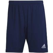 Korte Broek adidas Ent22 Tr Sho