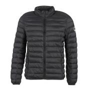 Donsjas Teddy Smith BLIGHT