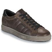 Lage Sneakers IgI&amp;CO U.SACHA
