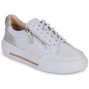 Lage Sneakers Clarks Hollyhock Zip