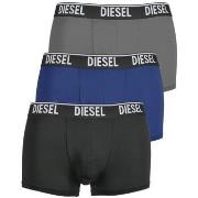 Boxers Diesel -