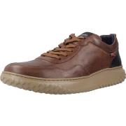 Lage Sneakers CallagHan 60802C