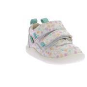 Lage Sneakers Kickers Kick Frapy