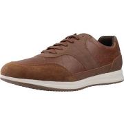 Lage Sneakers Geox U AVERY