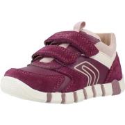 Lage Sneakers Geox B IUPIDOO GIRL