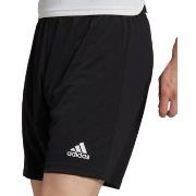 Korte Broek adidas -