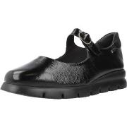 Ballerina's 24 Hrs PALAK