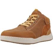 Hoge Sneakers Sunni Sabbi SENZO 019
