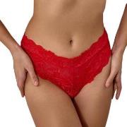 Tanga's Les Petites Bombes -