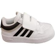 Lage Sneakers adidas hoops