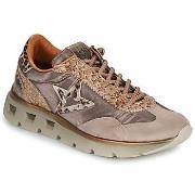 Lage Sneakers Cetti C-1259-SRA-XLEXP-INV-ANTE-METAL-DESSERT