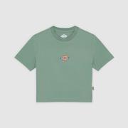 T-shirt Korte Mouw Dickies MAPLE