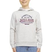 Sweater Jack &amp; Jones -