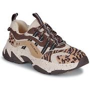 Lage Sneakers Steve Madden ANIMATES-L