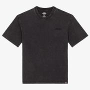 T-shirt Korte Mouw Dickies PLENTYWOOD