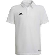 T-shirt adidas Ent22 Y