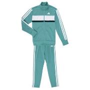 Trainingspak adidas Seasonal Essentials Tiberio 3-Stripes Tricot Track...