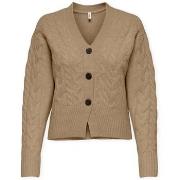 Vest Only Rio Life Cardigan - Tannin