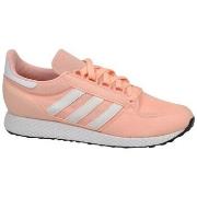 Lage Sneakers adidas Forest Grove J