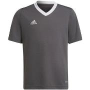 T-shirt Korte Mouw adidas Entrada 22 Jsy