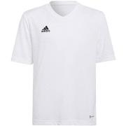 T-shirt Korte Mouw adidas Entrada 22 Jsy