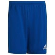 Korte Broek adidas Entrada 22