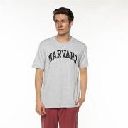 T-shirt Korte Mouw Champion Harvard