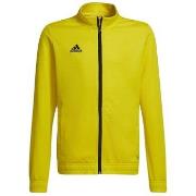 Sweater adidas Entrada 22