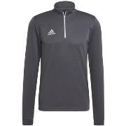 Sweater adidas Entrada 22 Training
