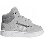 Laarzen adidas Hoops Mid