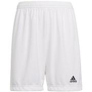 Korte Broek adidas Entrada 22
