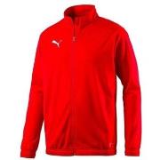 Sweater Puma Sideline