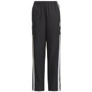 Broeken adidas Squadra 21