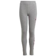 Broeken adidas IC3580